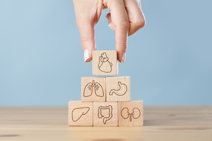 AI in Transplant Diagnostics: Turning Complexity into Clinical Clarity