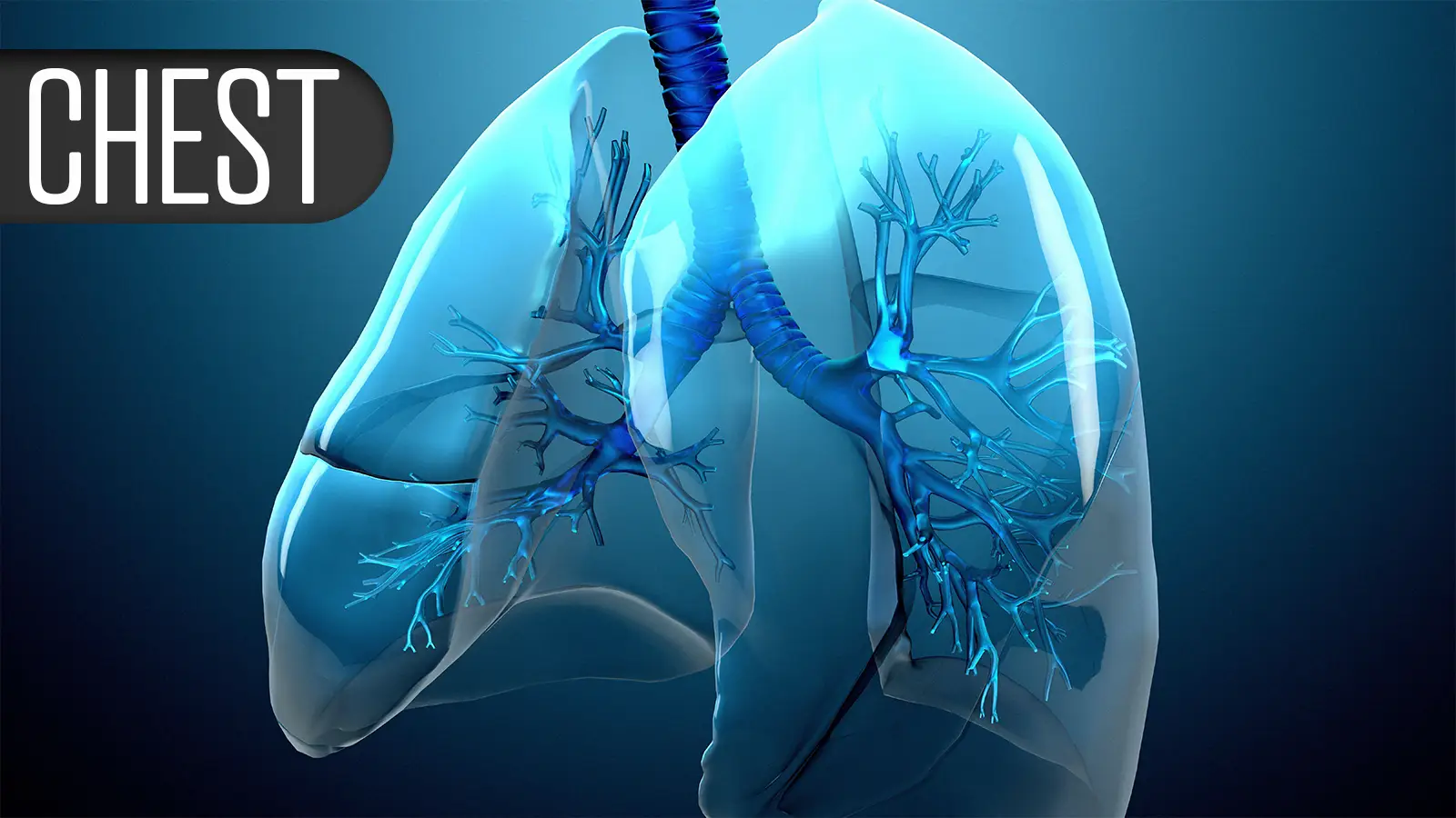 Breath Hold Not Linked to Better Lung Lesion Biopsy Yield